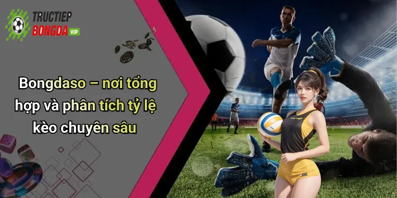 Bongdaso – nơi tổng hợp và phân tích tỷ lệ kèo chuyên sâu