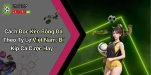 Cách Đọc Kèo Bóng Đá Theo Tỷ Lệ Việt Nam: Bí Kíp Cá Cược Hay