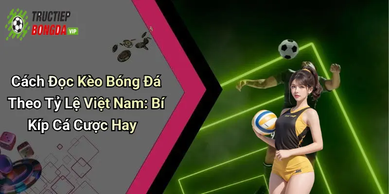 Cách Đọc Kèo Bóng Đá Theo Tỷ Lệ Việt Nam: Bí Kíp Cá Cược Hay