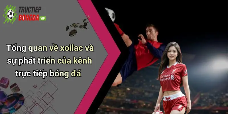 Tổng quan về xoilac và sự phát triển của kênh trực tiếp bóng đá