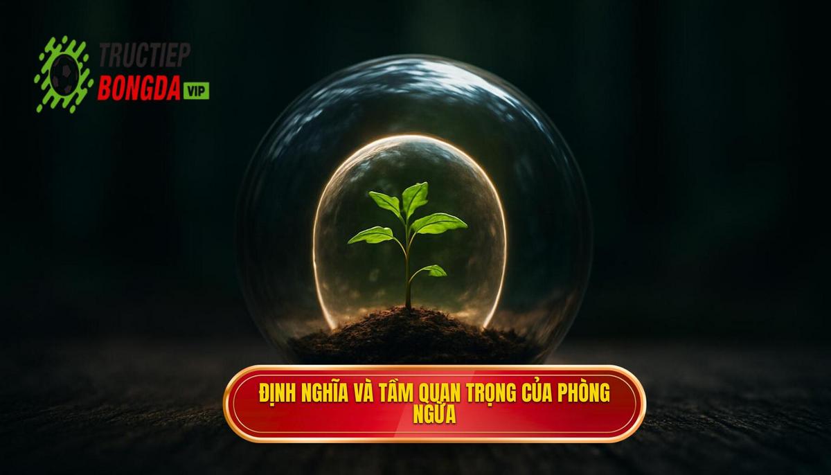 Định Nghĩa và Tầm Quan Trọng Của Đánh Chặn