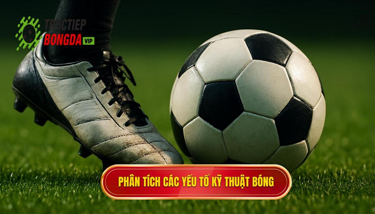 Phân Tích Chuyên Sâu Các Yếu Tố Cấu Thành Kỹ Thuật Đánh Chặn Bóng