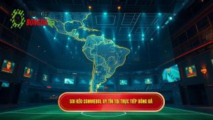 Soi kèo bóng đá các trận đấu CONMEBOL: Cẩm nang toàn diện từ chuyên gia nesberrys.com