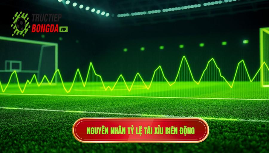 Nguyên nhân tỷ lệ tài xỉu biến động