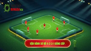 Vận hành sơ đồ 4-2-3-1 đẳng cấp