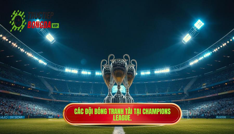 Đấu trường Châu Âu: Champions League và Europa League